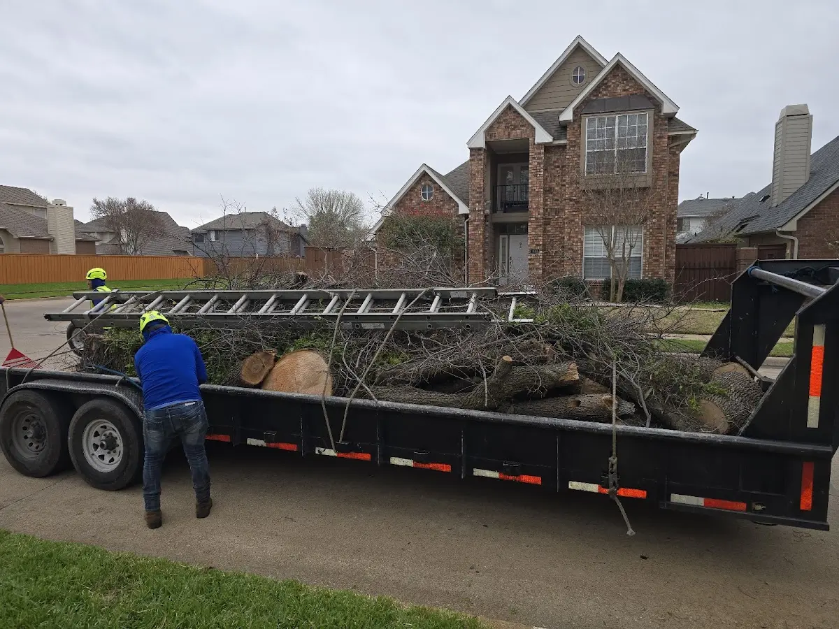 Expert Tree Fertilization with proper safety equipment in Robert